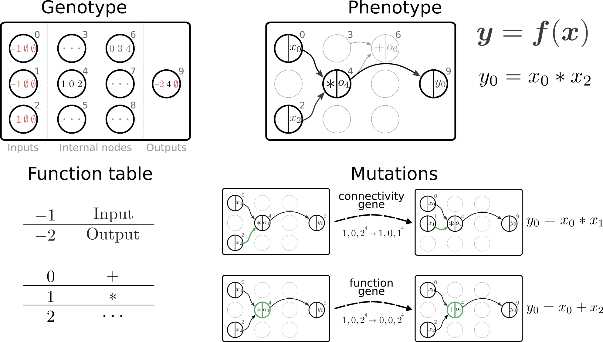 Cartesian Genetic Programming